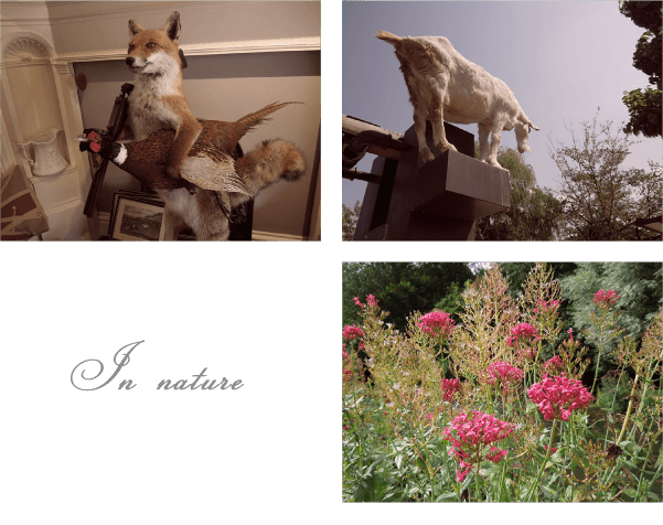 イメージ画像1a