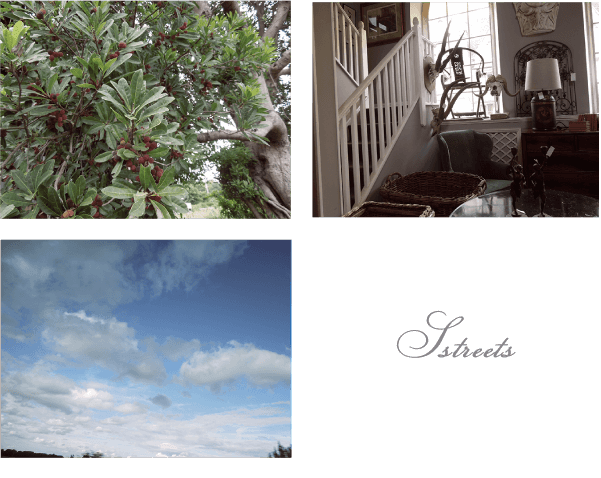 イメージ画像1b