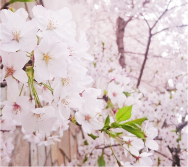 イメージ画像01